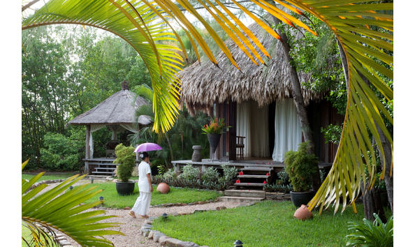 Big image lot 107  2 