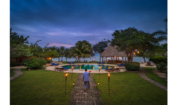 Big image lot 107  4 