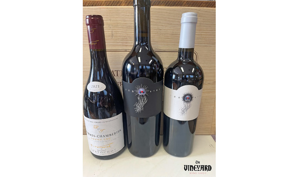 Big image vineyard wine