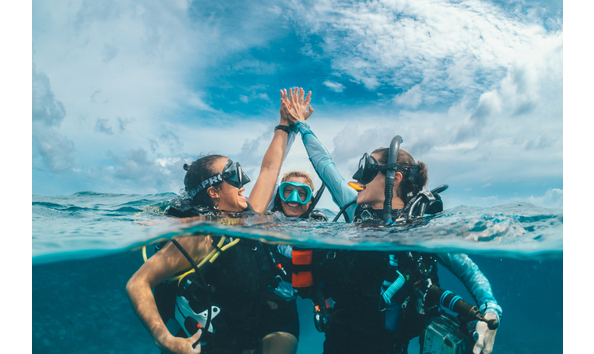 Big image wdd25 img 2 web