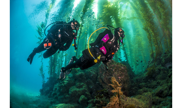 Big image anacapamar2015 096