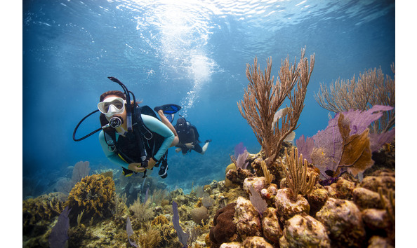 Big image padi utila 8 2019 01320 r1