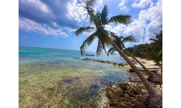 Big image tulum paradise