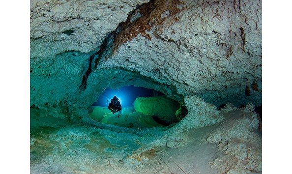 Big image 2 dives dos ojos