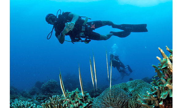 Big image philippines underwater 2