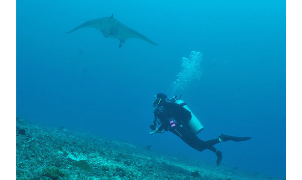 Big image philippines underwater 5