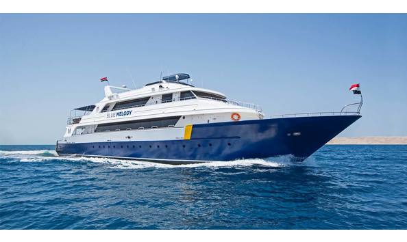 Big image blue melody liveaboard 2024