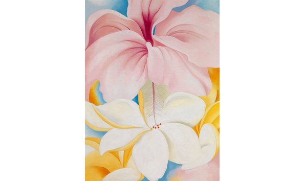 Big image jan25 georgia1