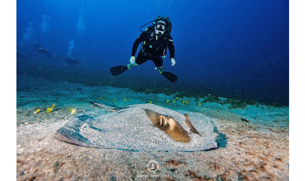 Big image diver ray whatsapp image 2024 10 29 at 21.07.55  1 