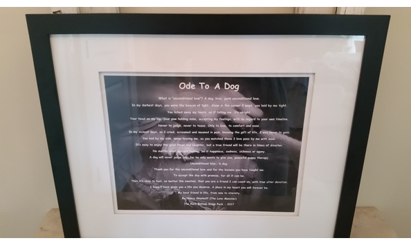 Big image ode to a dog