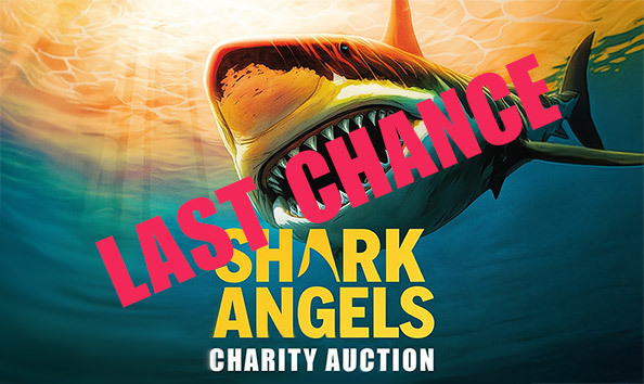 Organization Main Image