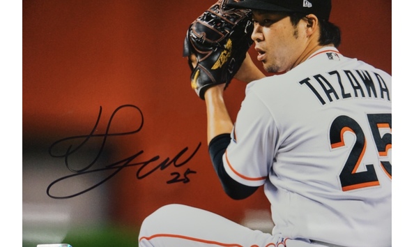 Big image lrg dsc04604