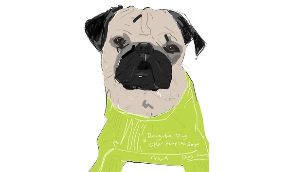 Big image dog love 2