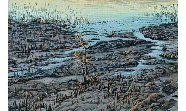 Big image waitangi mangroves detail 1