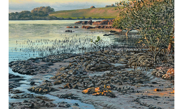 Big image waitangi mangroves detail 2
