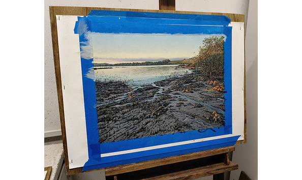 Big image waitangi mangroves easel