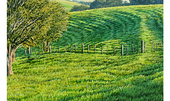 Big image northland totara detail