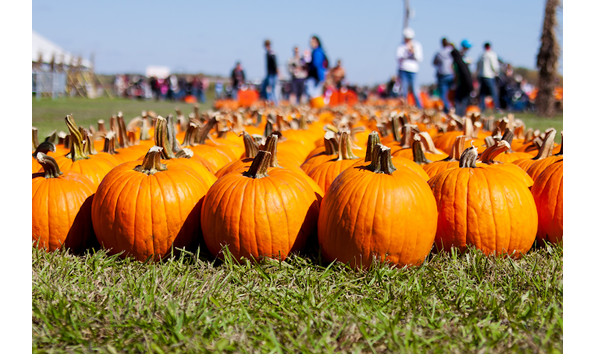 Big image mini magick20250822 3892 1io6j5j