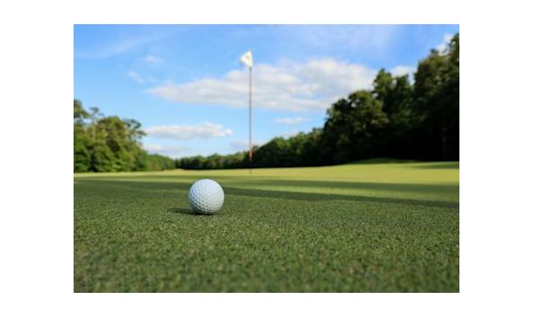 Big image meadowlark