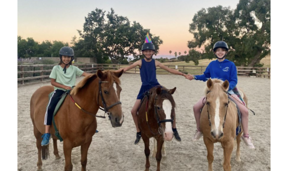 Big image mini magick20250904 3892 bepjne