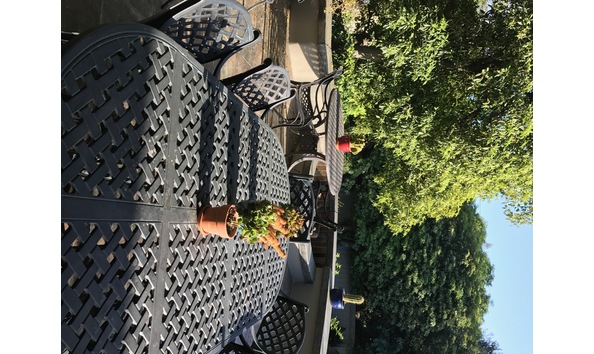 Big image susandodgebackyard