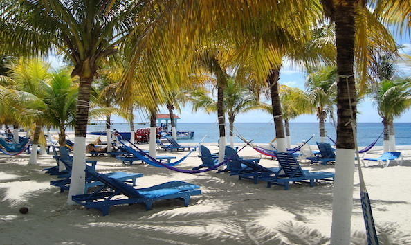 Big image mini magick20250909 3892 1vl6hui