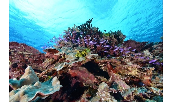 Big image mini magick20250909 3892 pocudz