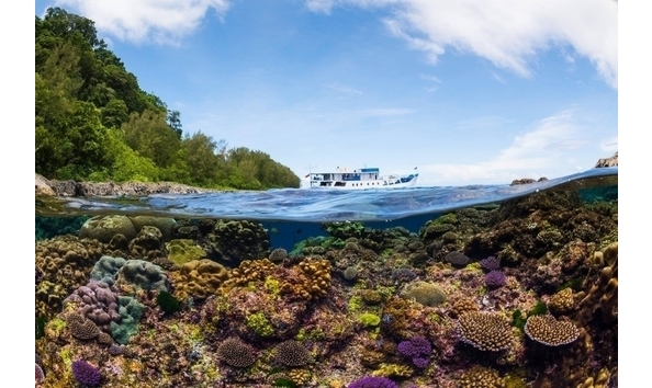 Big image mini magick20250909 3892 1whq3id