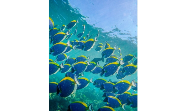 Big image mini magick20250909 3892 1h3hqy2