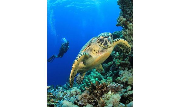 Big image mini magick20250909 3892 h4nsju