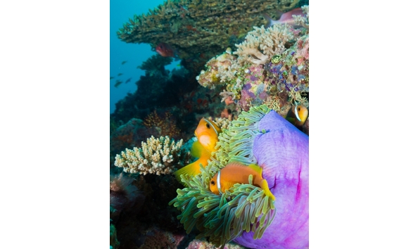 Big image mini magick20250909 3892 1txjxus