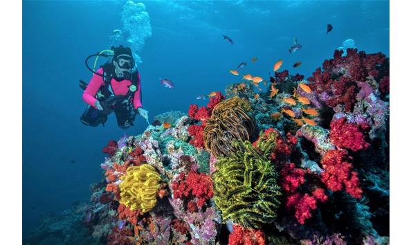 Big image mini magick20250909 3892 acteza