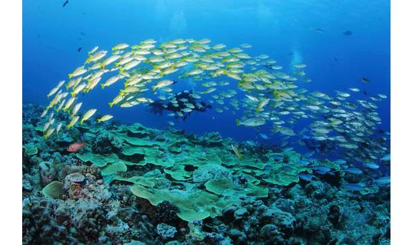 Big image mini magick20250909 3892 1ka1pdg