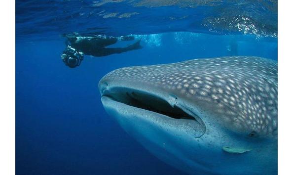 Big image mini magick20250909 3892 9qxwrp