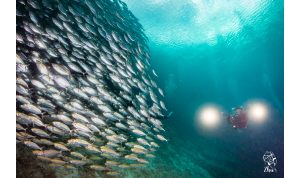 Big image mini magick20250909 3892 wc9omr