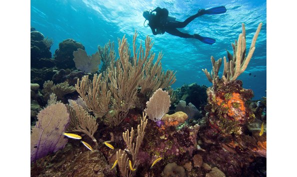 Big image mini magick20250909 3892 1ila572