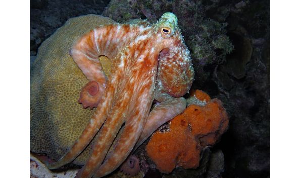 Big image mini magick20250909 3892 r7zq9a