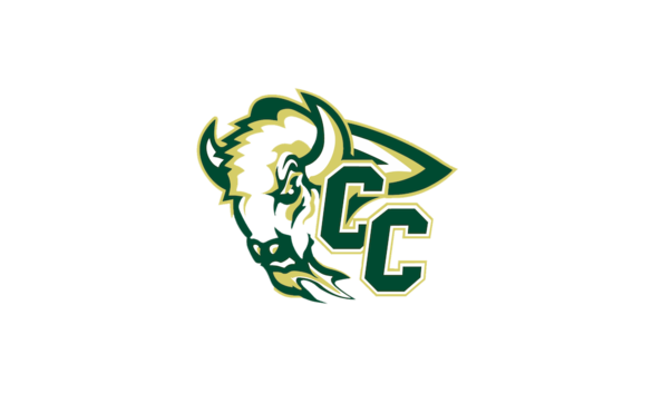 Organization Main Image