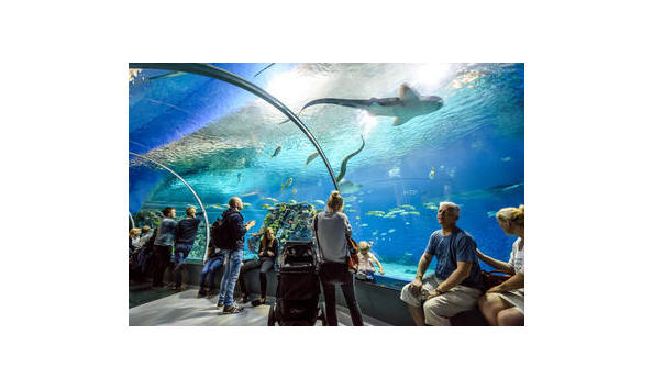 Big image national aquarium 1