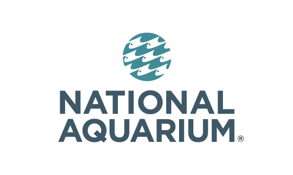 Big image national aquarium 2