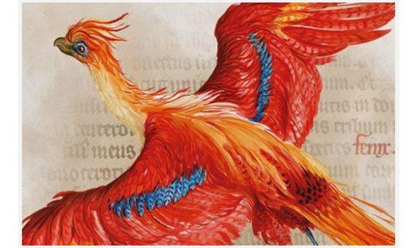 Big image bl harry potter 624x351 jpg w