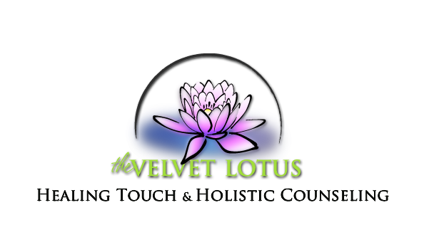 Big image velvet logo