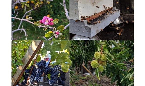 Big image urban farm