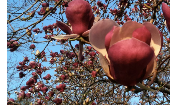 Big image screen shot 2018 04 11 at 10.09.35 am