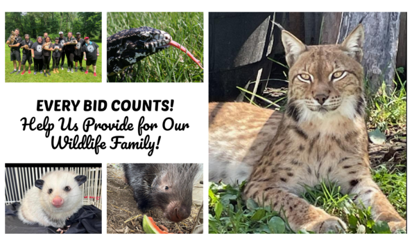 Organization Main Image