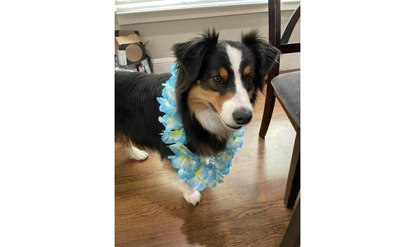 Big image mini magick20251016 3892 p26ko5