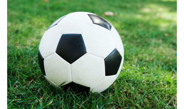 Big image mini magick20251019 3892 n6a6yn