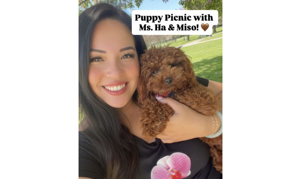 Big image miso updated