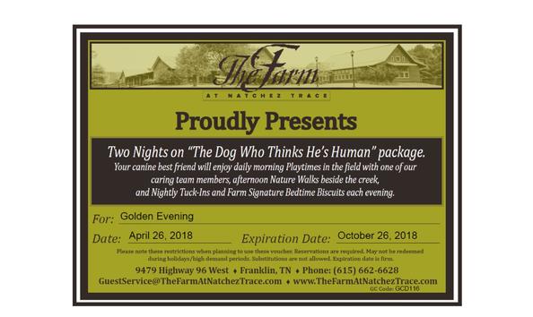 Big image golden evening email gc