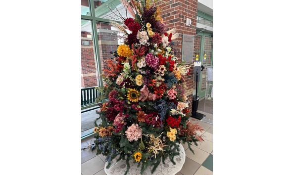 Big image in full bloom  1 